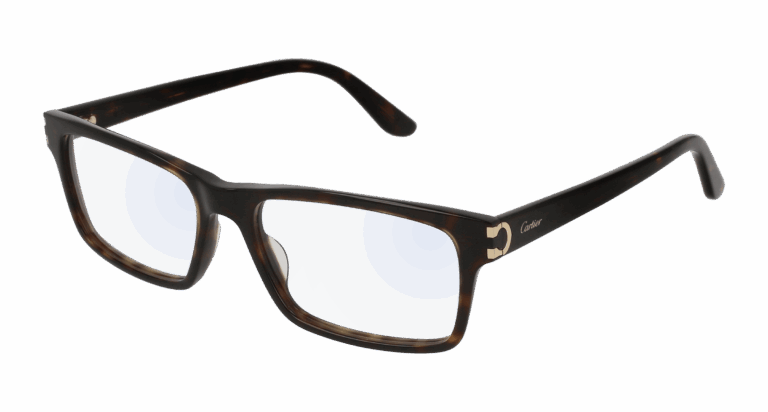 HAVANA/TRANSPARENT