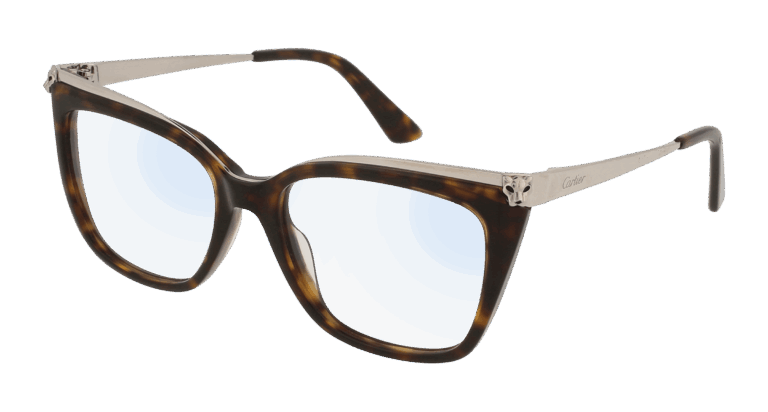 HAVANA/TRANSPARENT