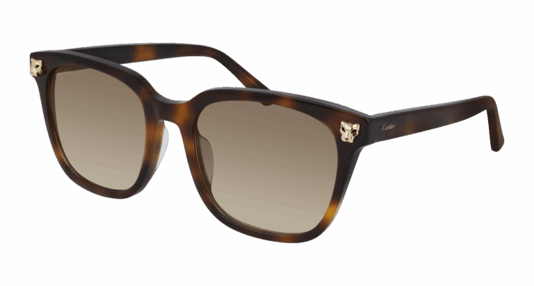 HAVANA/BROWN
