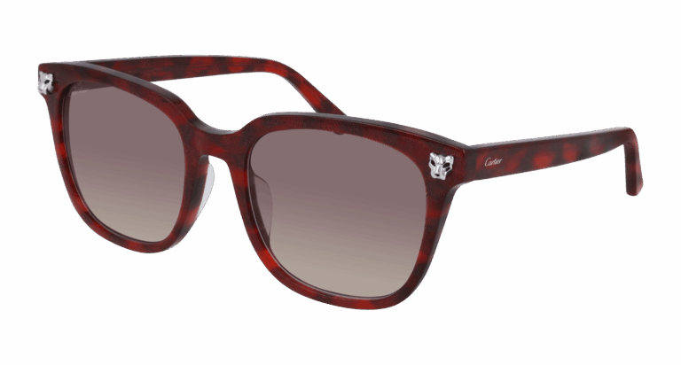 HAVANA/VIOLET