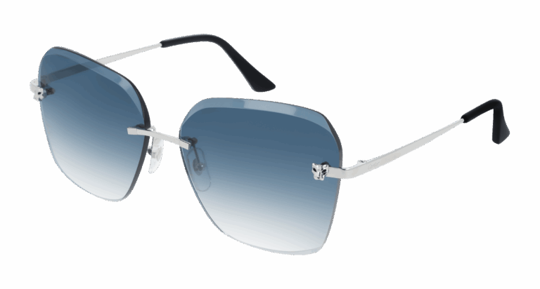 Silver/Blue