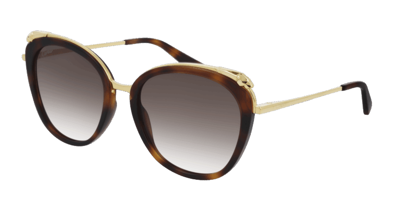 HAVANA/BROWN
