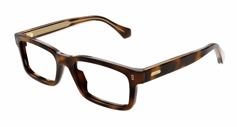 HAVANA/TRANSPARENT