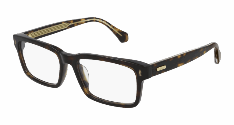 HAVANA/TRANSPARENT