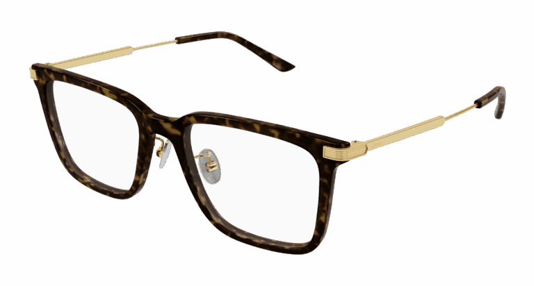 HAVANA/TRANSPARENT