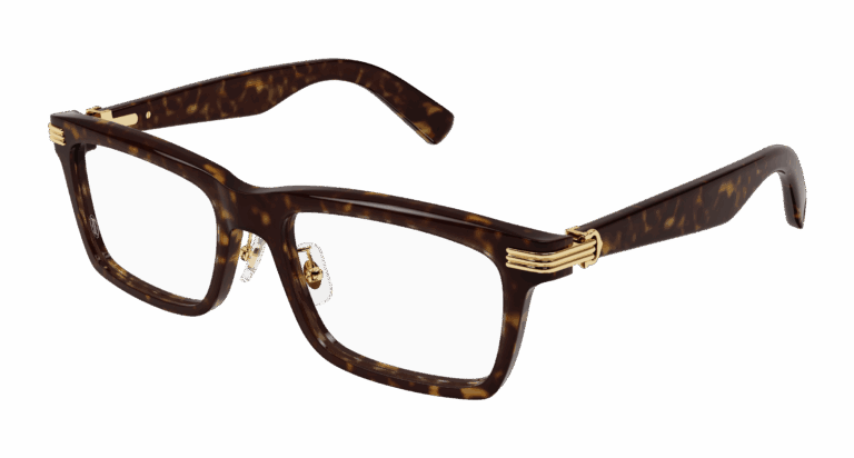 HAVANA/TRANSPARENT