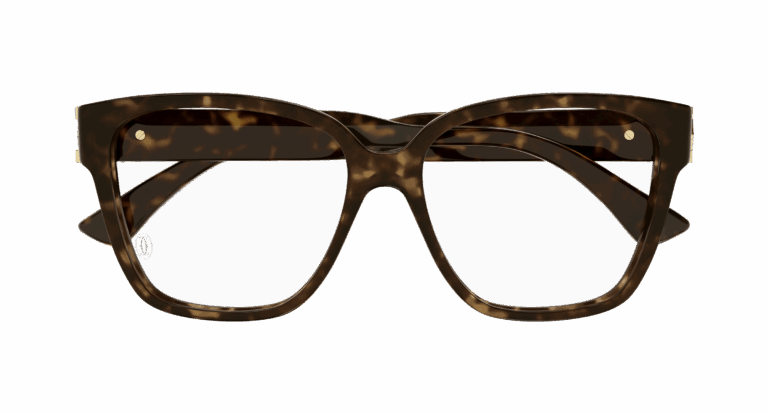HAVANA/TRANSPARENT