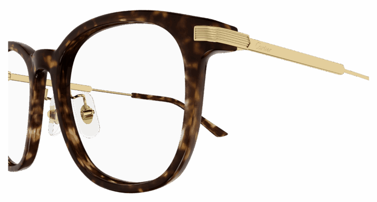 HAVANA/TRANSPARENT