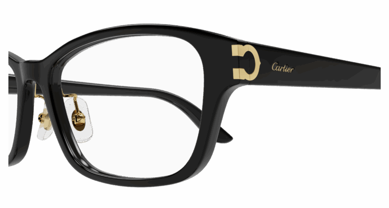 BLACK/TRANSPARENT