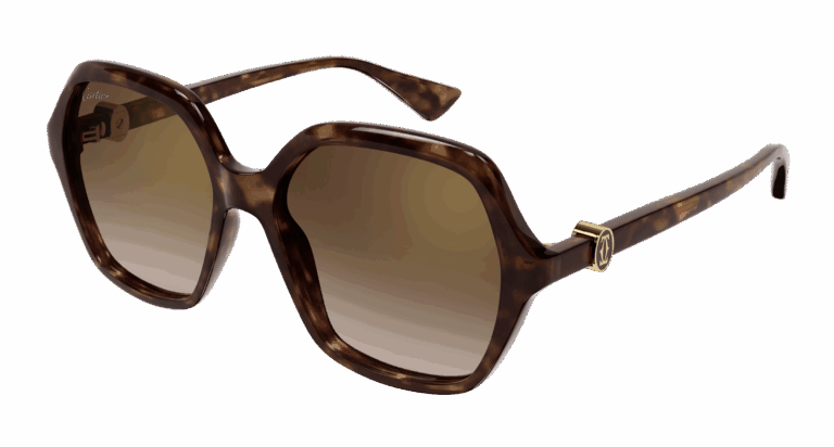HAVANA/BROWN