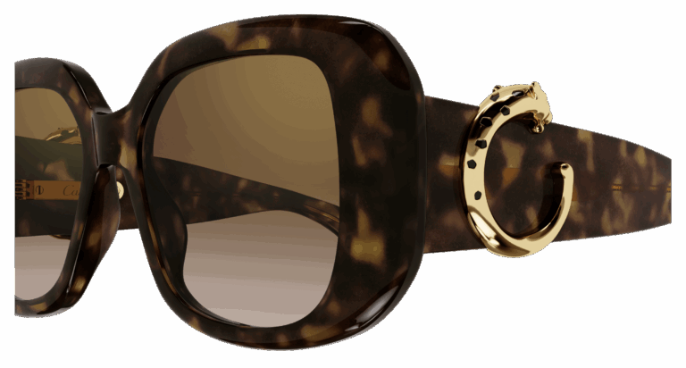 HAVANA/BROWN