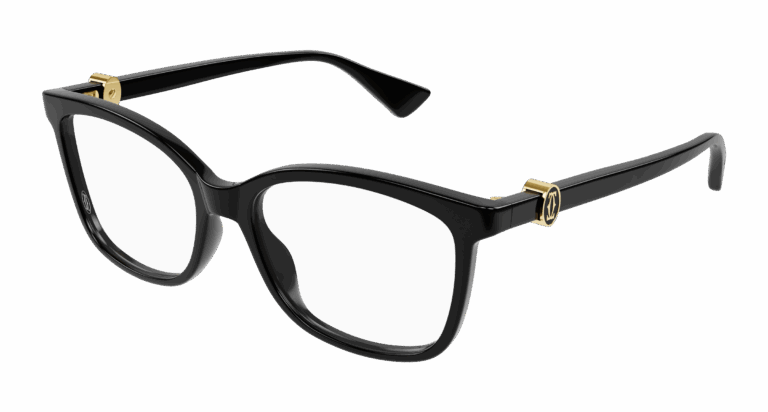 BLACK/TRANSPARENT