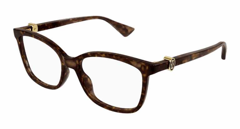 HAVANA/TRANSPARENT