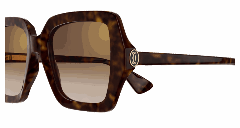 HAVANA/BROWN
