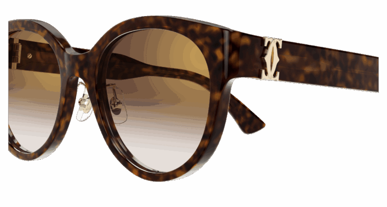HAVANA/BROWN