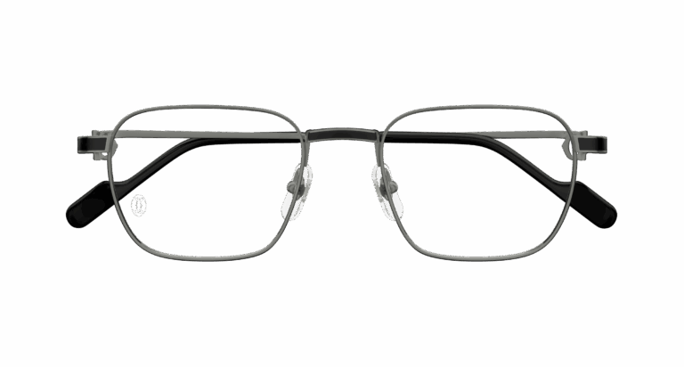 GUNMETAL/TRANSPARENT