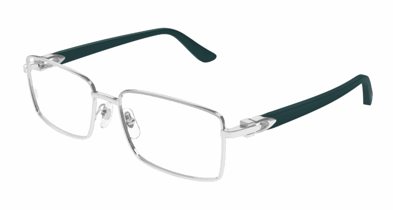 SILVER/TRANSPARENT