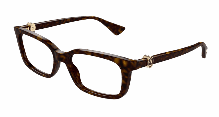 HAVANA/TRANSPARENT