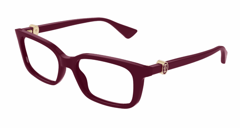 BURGUNDY/TRANSPARENT