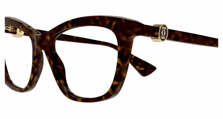 HAVANA/TRANSPARENT