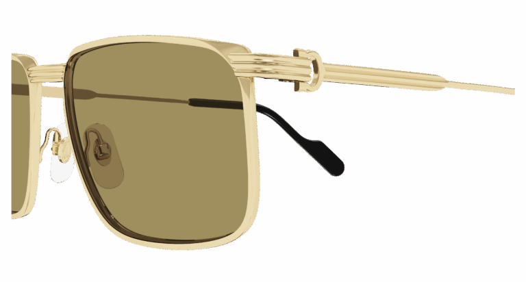 Gold/Brown