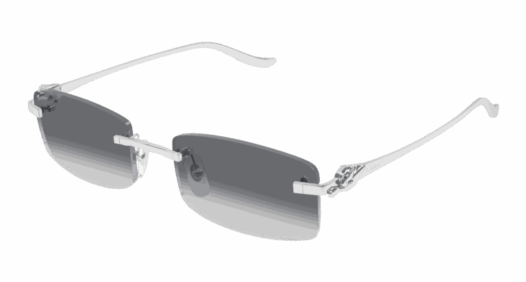 SILVER/GREY
