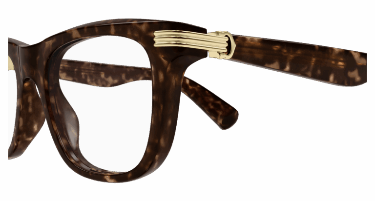 HAVANA/TRANSPARENT