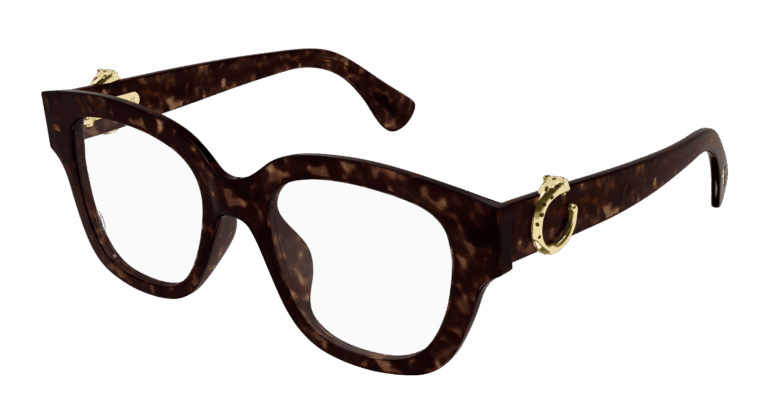 HAVANA/TRANSPARENT